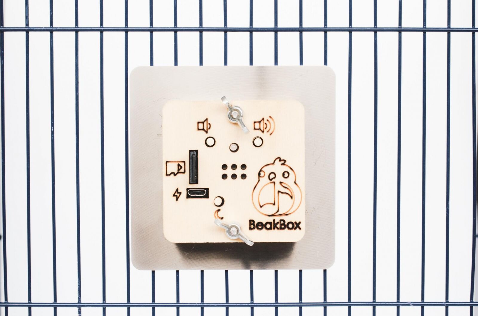 Product Spotlight: 5 Bird Products to Know About